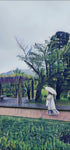 Person with white umbrella walking along a path in a Japanese garden near a pergola; rainy day.
